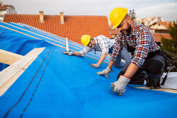 Best Roof Ventilation Installation  in Leadville North, CO