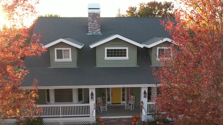 Sheet Metal Roofing in Leadville North, CO